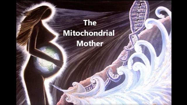 Mitochodrial Mother