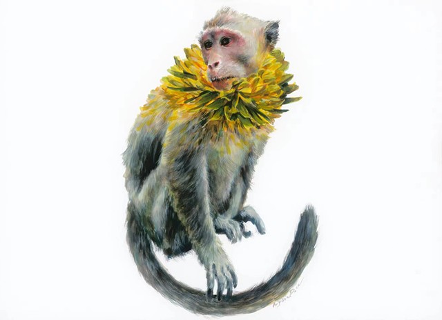 Flora Monkey