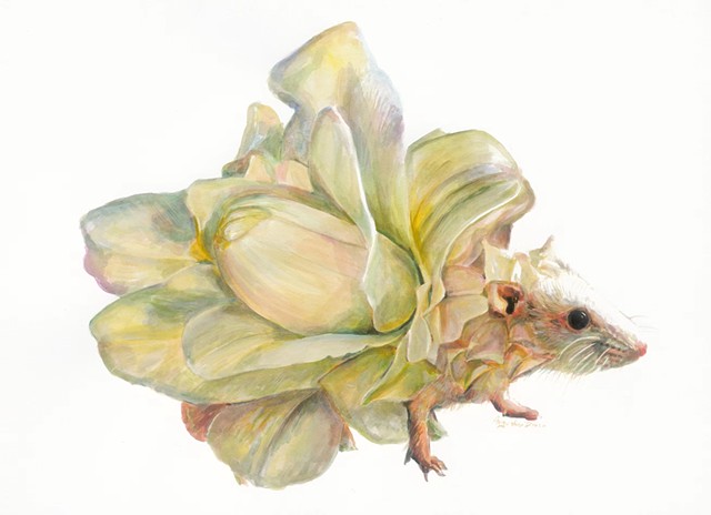 Flora Rat