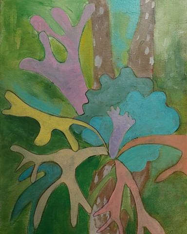 Staghorn IV
