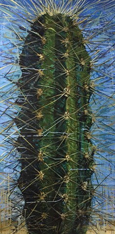 still life cactus cacti succulents