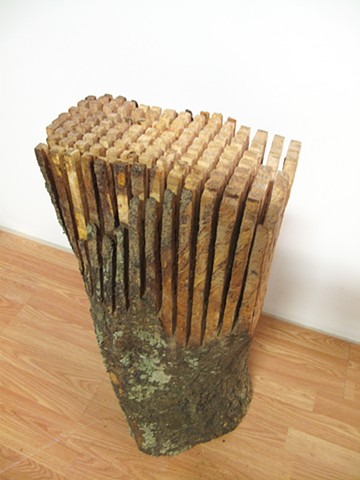 STUDENT WORK


Sculpture II
Material Studies