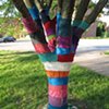 STUDENT WORK

Yarn Bomb
