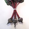 STUDENT WORK


Sculpture Survey
GROCERIES: Beets