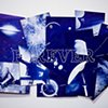 CURATORIAL

HOME EC

June 2-28, 2014
The Cullis Wade Depot Gallery
Mississippi State University
Starkville, Mississippi

Nick DeFord
Whatever, Forever, What For
2010
Hand-embroidery and stitching on cyanotype illustrations