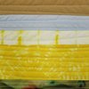 STUDENT WORK


Fiber and Paper Arts Club
Turmeric Dye and Mini-Art Quilt