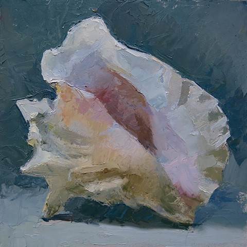 Conch Shell in Daylight
