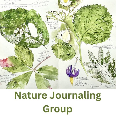 Nature Journaling Group