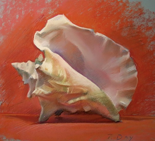 Conch Shell on Red