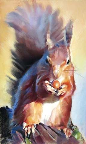 Red Squirrel