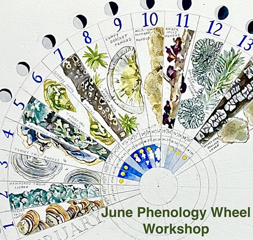 June Phenology Wheel Workshop