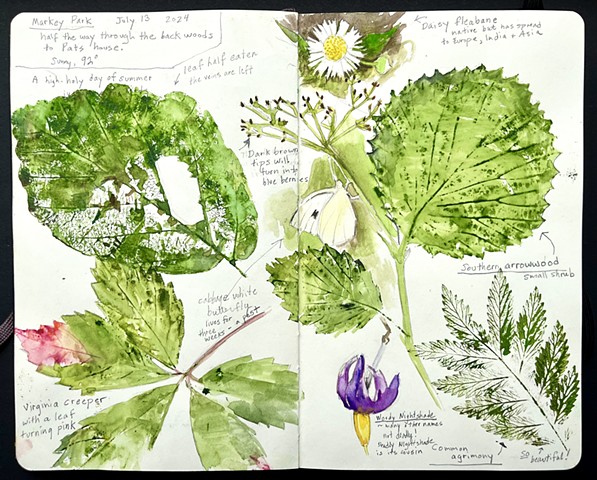 Nature Journal Pages