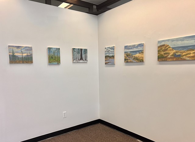 Land to Sea Installation, Adelphi University, Swirbul Library Gallery