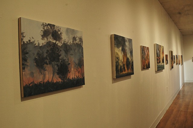 Developing Conditions Solo Exhibition, Azarian McCullough Gallery, St. Thomas Aquinas College