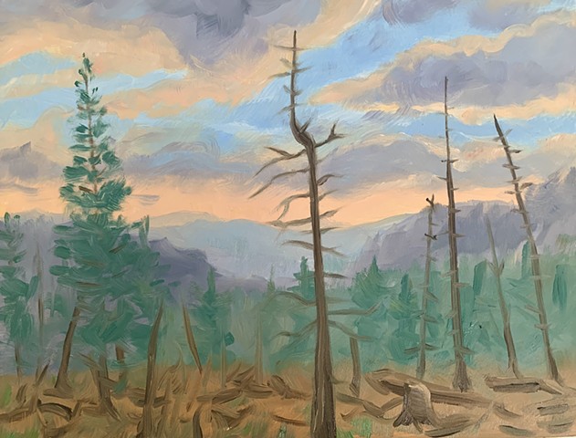 landscape painting, plein air, alla prima painting, california landscape, Yosemite painting, Sequoia painting,  contemporary landscape