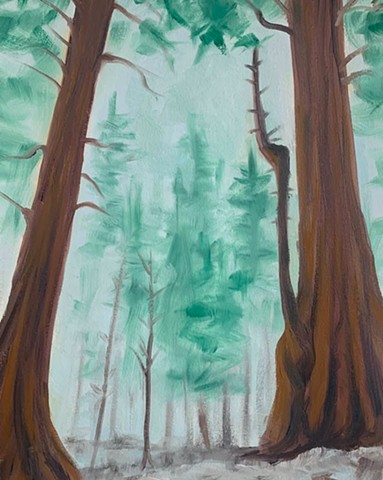 Sequoias in Fog and Snow, Sequioa Park 2
