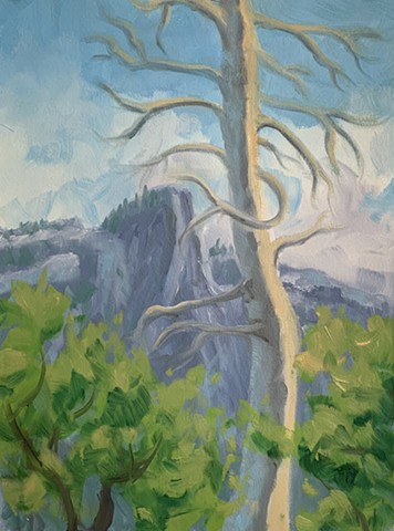 Landscape painting, climate art, contemporary landscape painting, alla prima painting, plein air painting, Yosemite painting