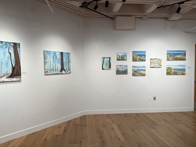 Land, Sea and Sky Exhibition Installation Shots, October 2025