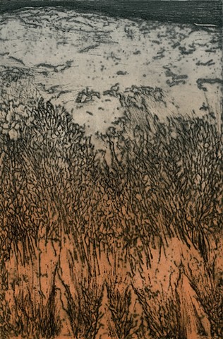 Picture of Brigitte Caramanna, intaglio printmaking of mars, space, landscape, mountain, nature by brigitte caramanna