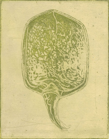 sea, cell, intaglio, printmaking, green, life forms, specimen intaglio printmaking by brigitte caramanna