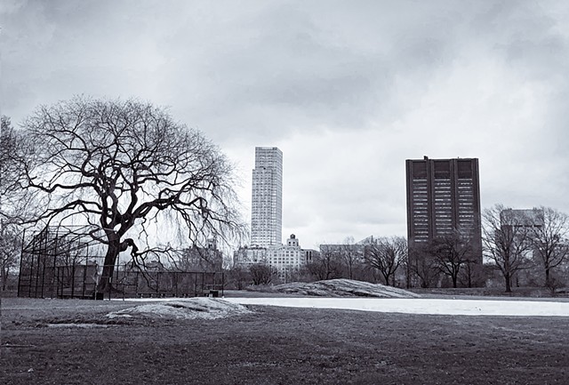 Photograph of Central Park, NYC, Manhattan, with trees and buildings from a distance by Judith Ebenstein