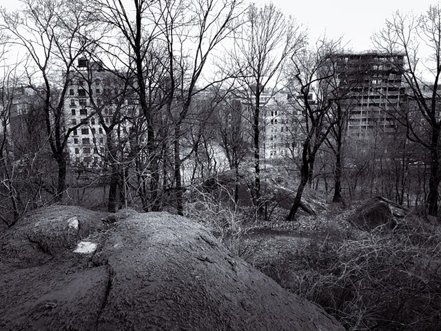 Photograph of Central Park, Trees, Rocks, Snow, Buildings, by Judith Ebenstein