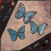 Butterflies & Ghosts 3 SOLD