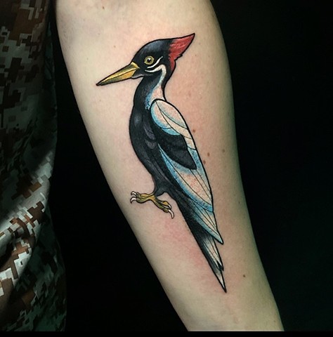 Pileated Woodpecker Illustrative Traditional Wildlife Tattoo
