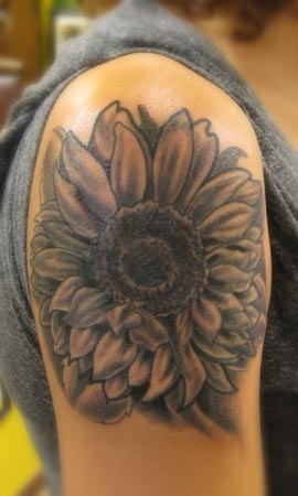 Animal Farm Tattoos Chicago Tatuajes Black and Grey Sunflower Tattoo