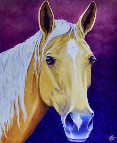 Equine Portraits