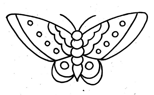 Moth 1