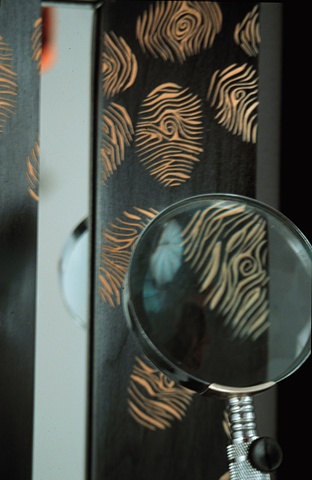 Detail, Fingerprint Mirror