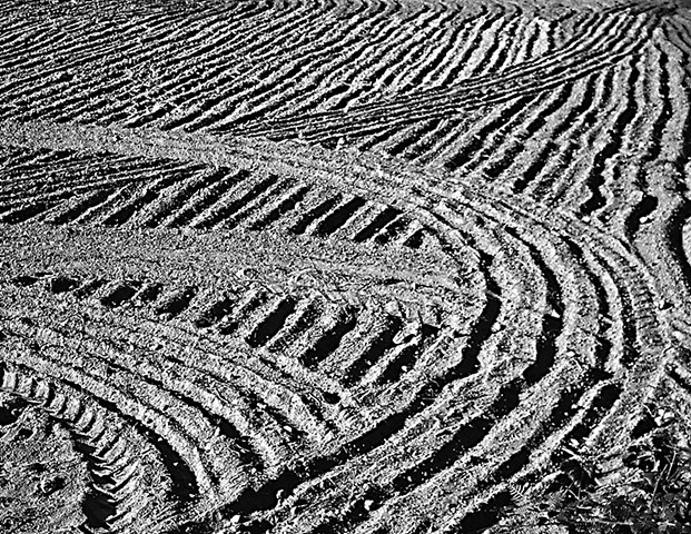 A newly ploughed field