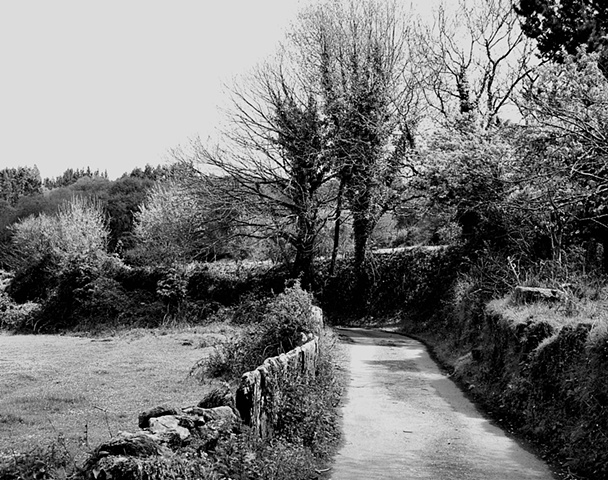A road in the country, Galicia