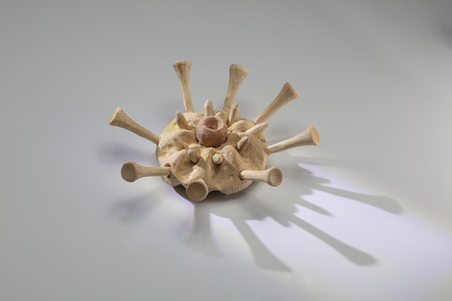 Urchin I