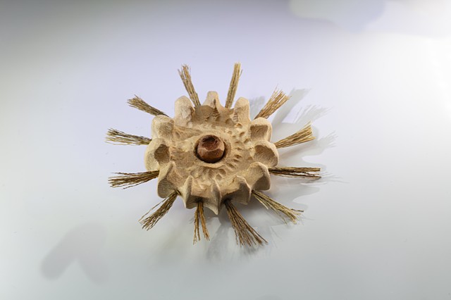 Urchin IV