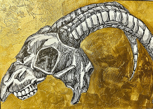 Skull #2
