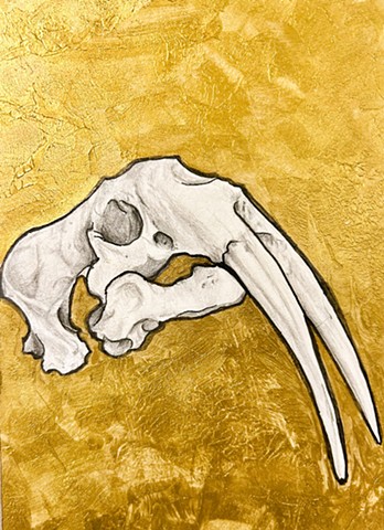 Skull #1