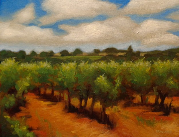 Southern Vineyard