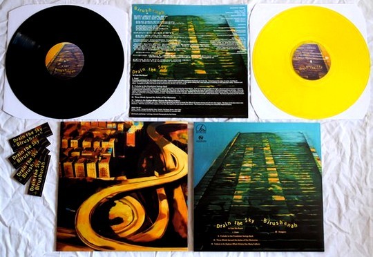 Birushanah/Drain the Sky split LP, Destructure France