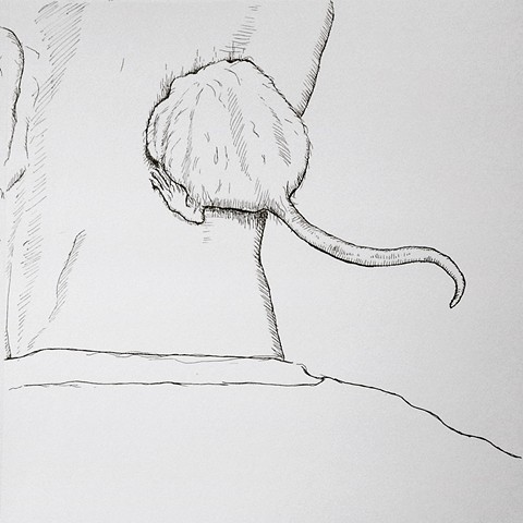 rat tail