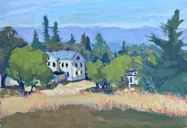 Discovery Park Vista