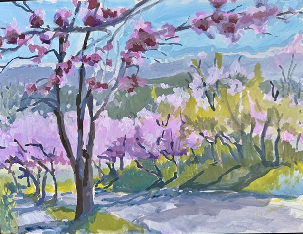 Cherry Blossoms, Madison Valley