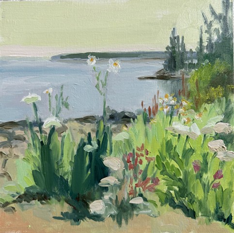 Bernard Shoreline 