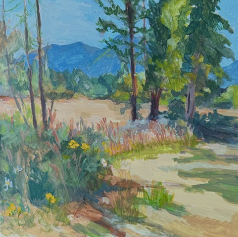 North Bend Meadow