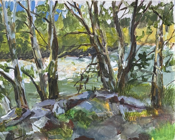 Middle Fork Bend in the River