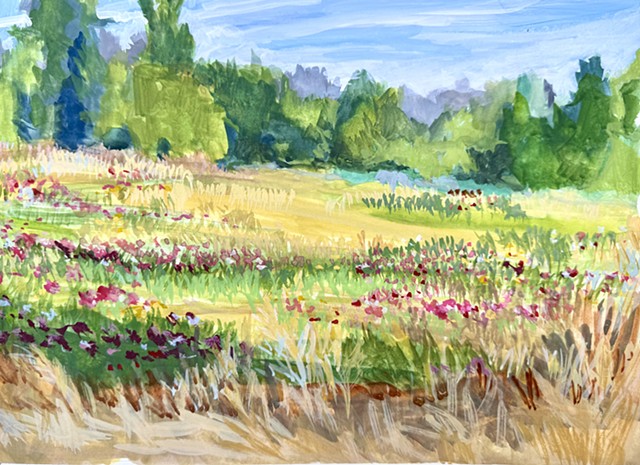 Meadow at Juanita Bay Park