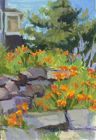 California Poppies