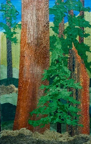 Sequoia Giclee