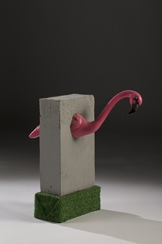 Captive: Flamingo